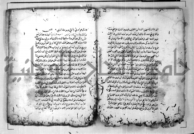 الدرة المعنية في شرح الفارضية 