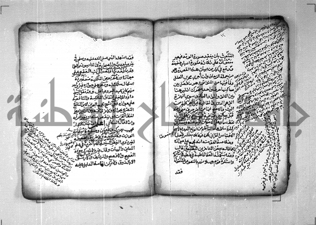 شرح الهمزية  