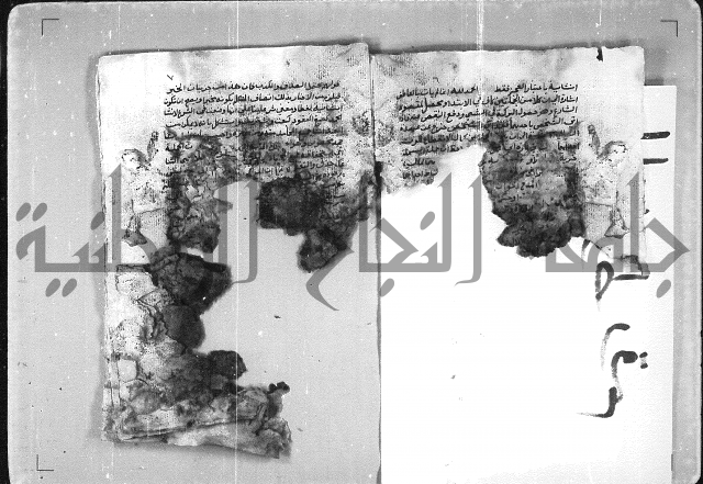 الهدهدي 