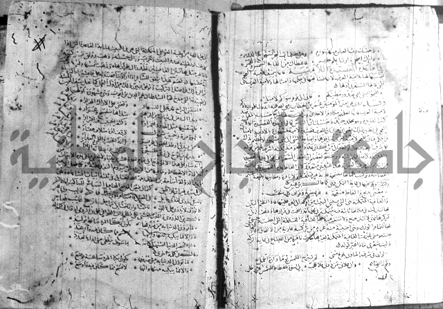 شرح لامية العجم 