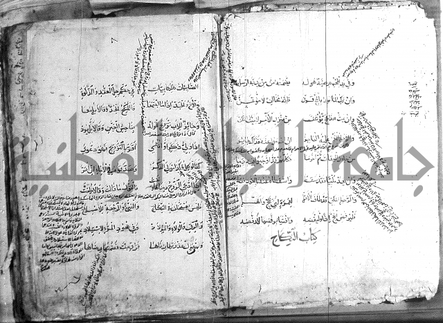 فقة حنفي 