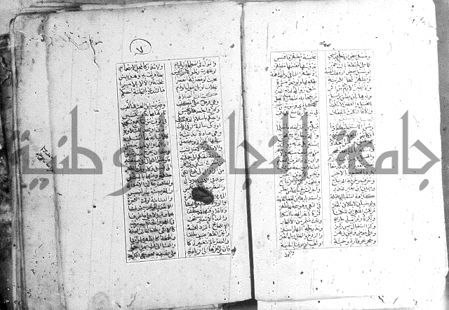 خلاصة التنوير 