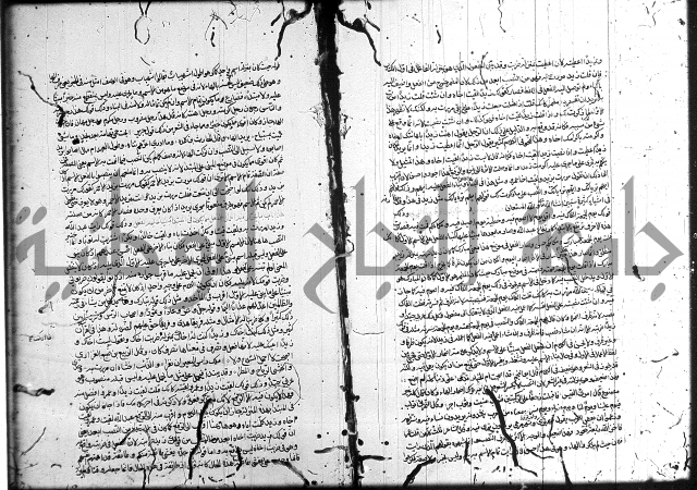سيبويه 