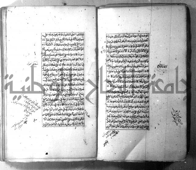 شرح الشافية 