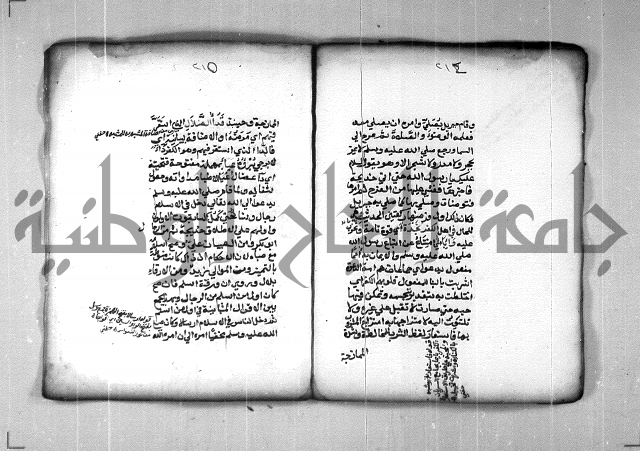 شرح الهمزية  