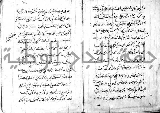شرح مقدمة قطر الندى وبل الصدى