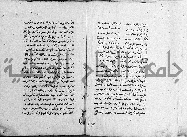 كتاب في الادب 
