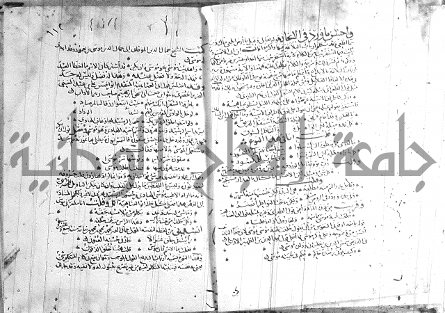 شرح لامية العجم 