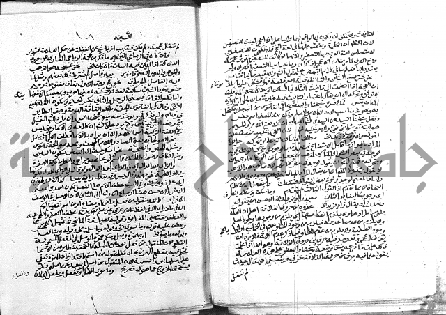 كتاب في اللغة العربية