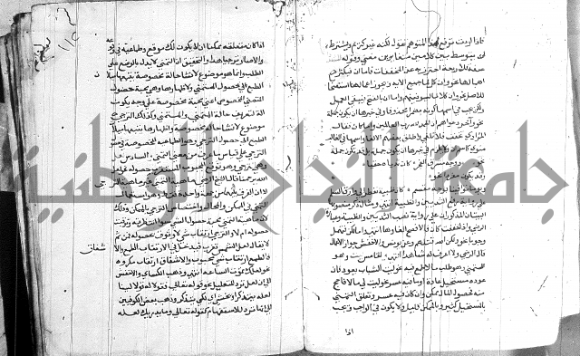 العقود الجوهرية 