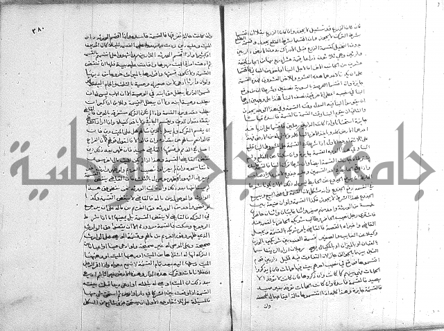 خزانة المفتين