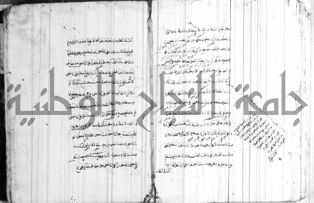 ضوء في علم النحو