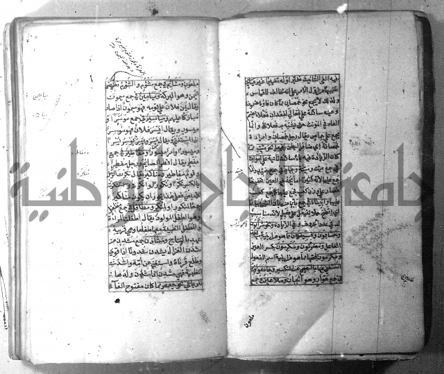 شرح الشافية 