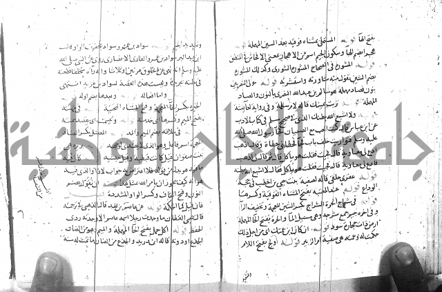 مذيل الشفا