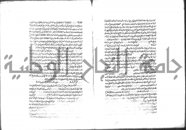 شرح الرملي 3