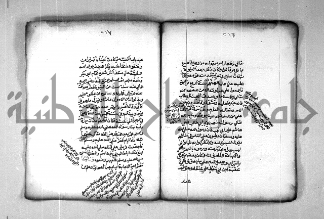 شرح الهمزية  