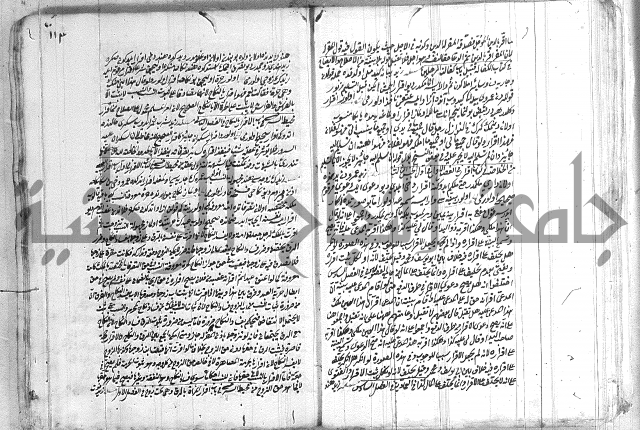 فتاوي تركية