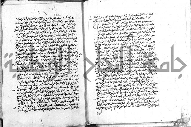 كتاب في اللغة العربية