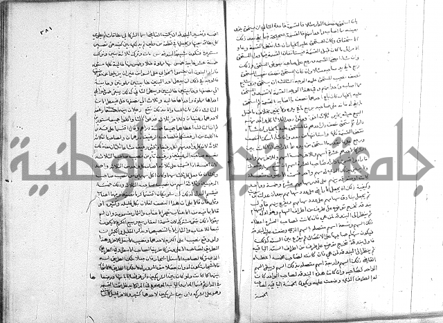 خزانة المفتين