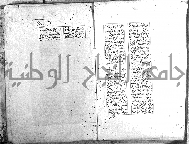 خلاصة التنوير 