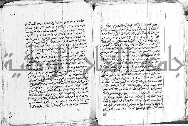 الزيادي على المنهج 