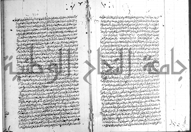 سيبويه 