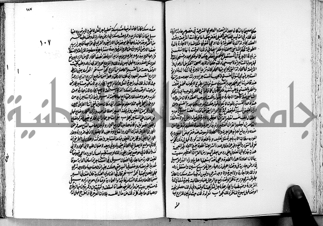 الجواهر الدورية في تنقيح الفتاوى الحامدية ج2 