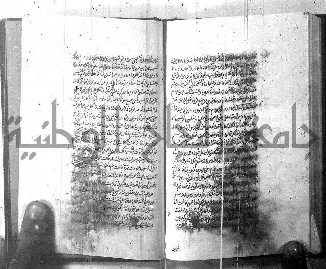 الطريقة المحمدية 