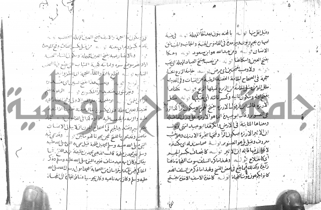 مذيل الشفا