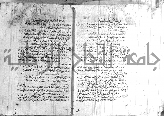 شرح لامية العجم 