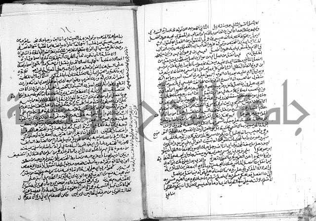 كتاب في اللغة العربية