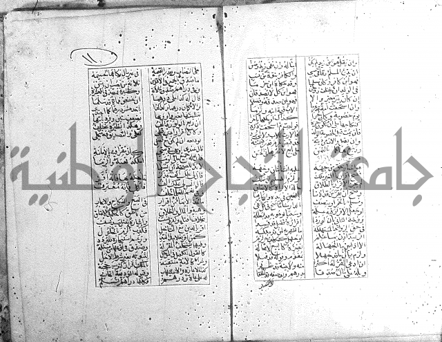 خلاصة التنوير 