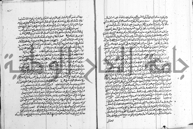 كتاب في اللغة