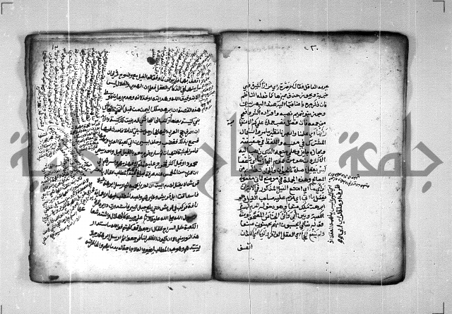 شرح الهمزية  