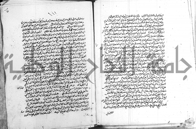 كتاب في اللغة العربية