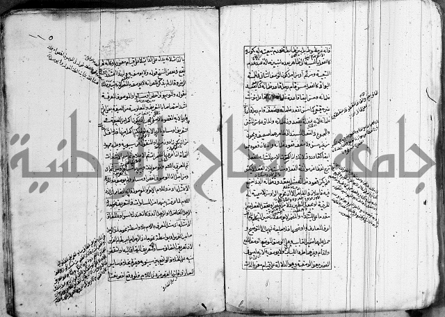 فوائد على الكافية 