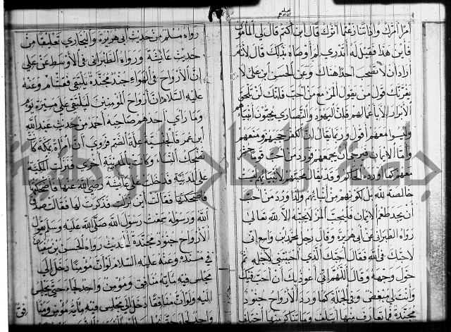 شرح عين العلم ج1