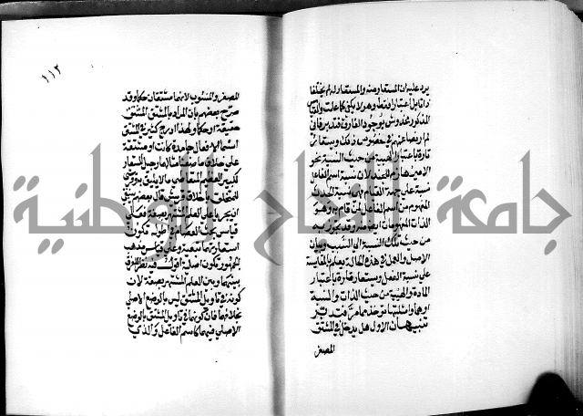 الرسالة البيانية