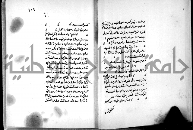 شرح شذور الذهب في معرفة كلام العرب 