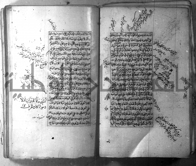 شرح الشافية 