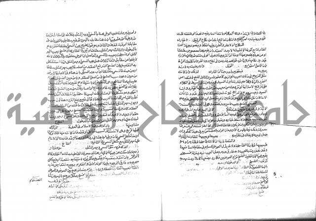 شرح الرملي 3