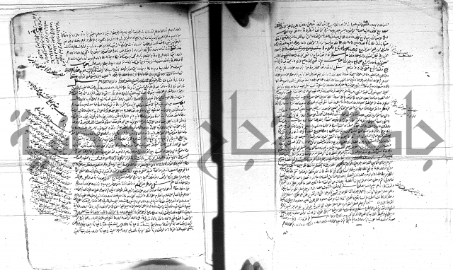 الفتاوى الحسينية