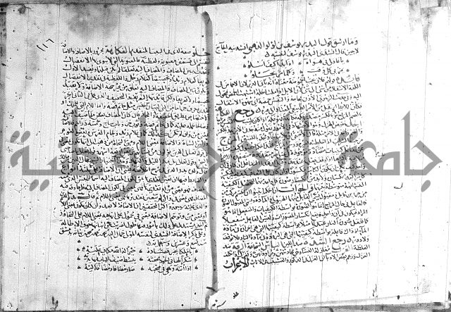 شرح لامية العجم 