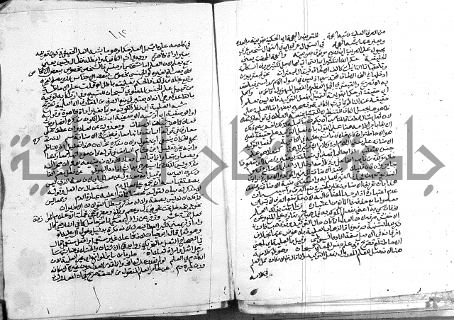 كتاب في اللغة العربية