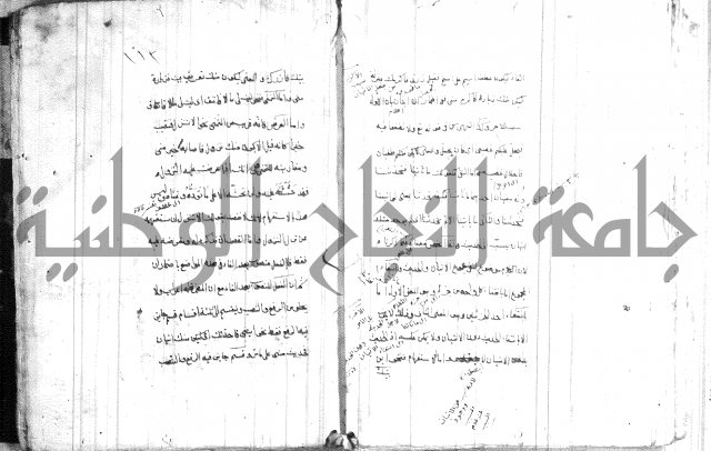 ضوء في علم النحو