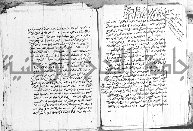 الزيادي على المنهج 