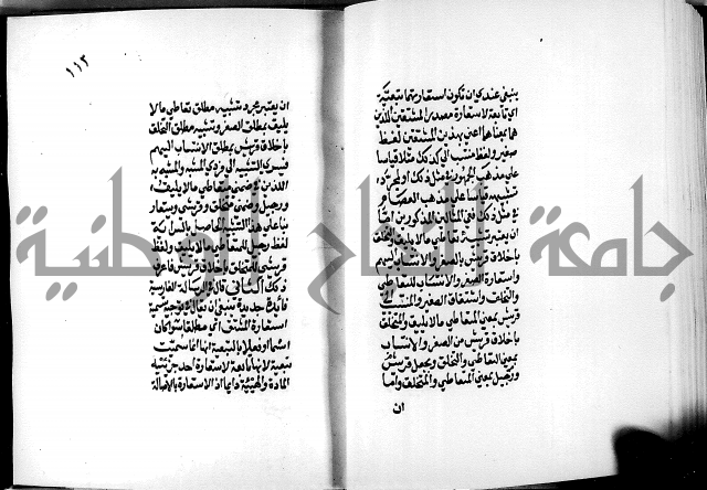 الرسالة البيانية