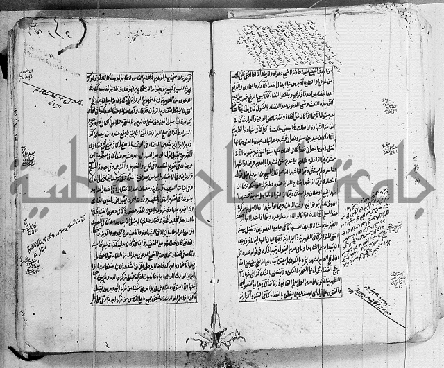 الاشباه والنظائر