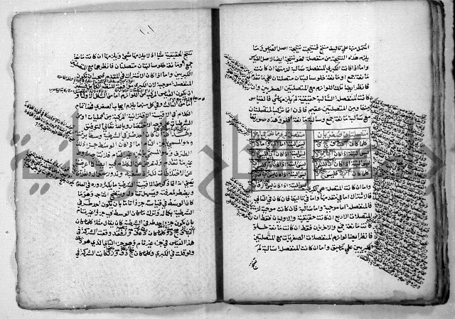 هذا مختصر لطيف في علم المنطق