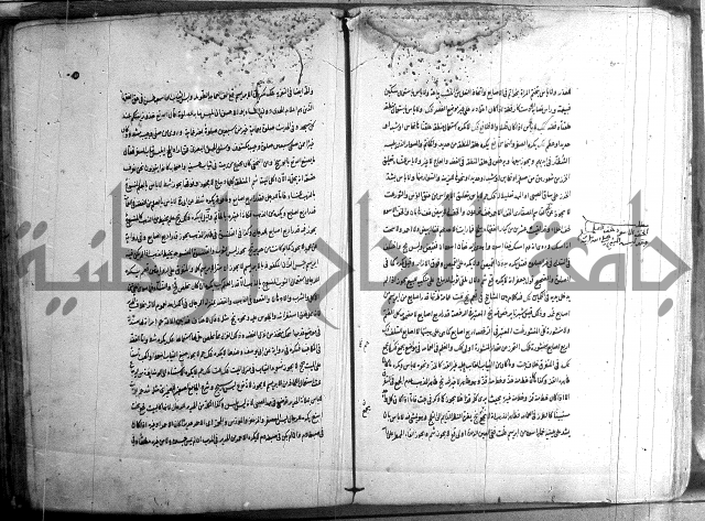 حاوي مسايل المنيه